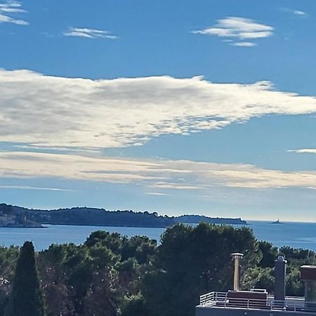 Villa Salvia Rooms And Apartments Rovinj Kültér fotó