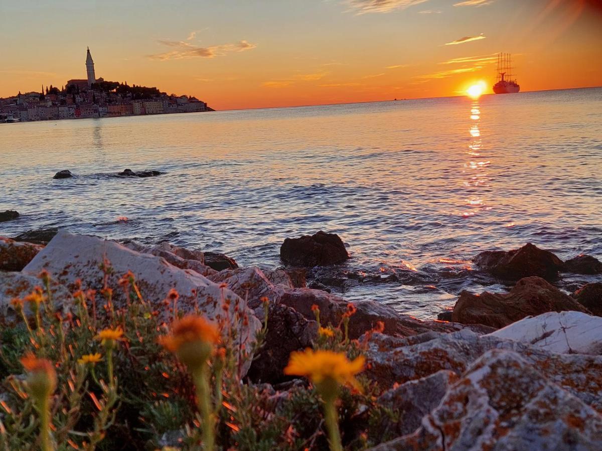 Villa Salvia Rooms And Apartments Rovinj Kültér fotó