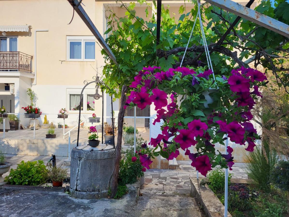 Villa Salvia Rooms And Apartments Rovinj Kültér fotó