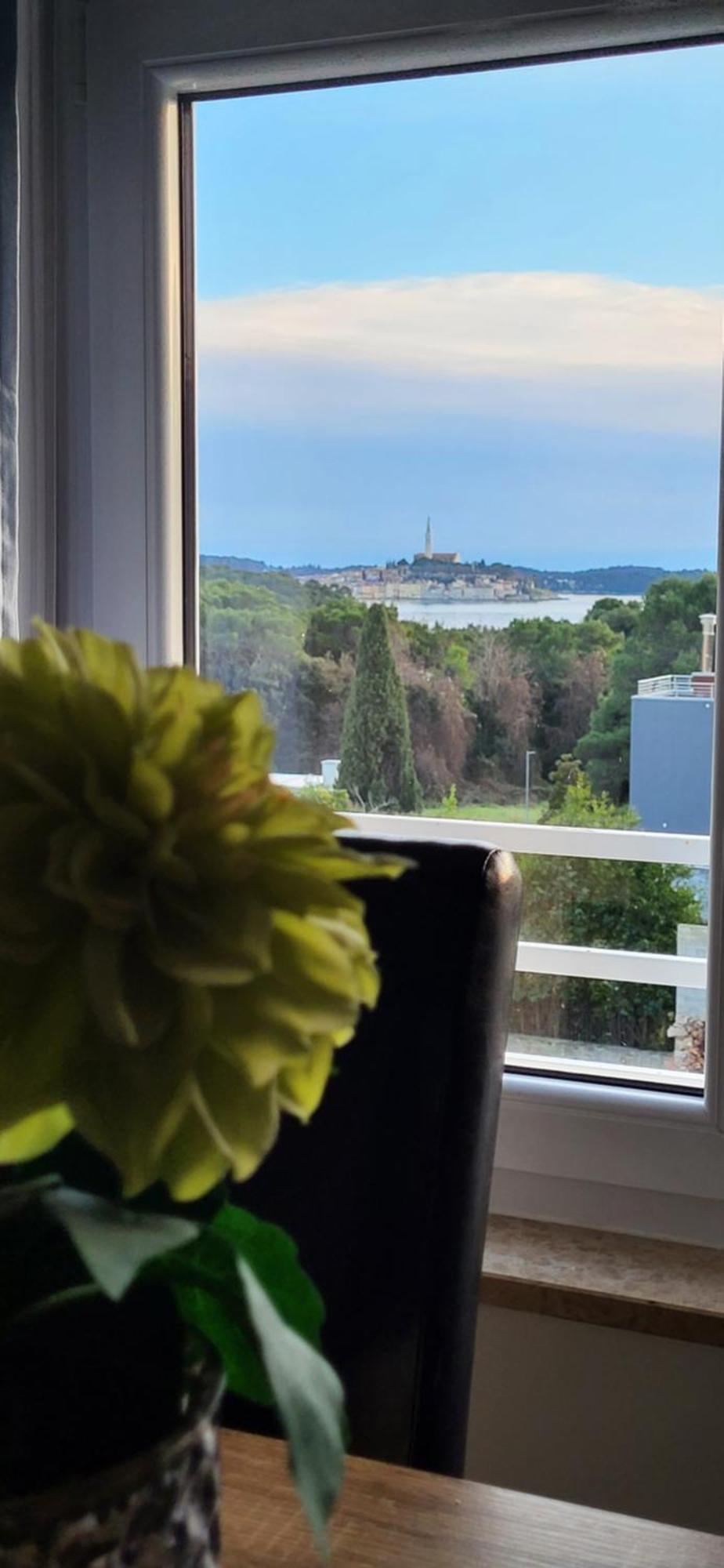 Villa Salvia Rooms And Apartments Rovinj Kültér fotó