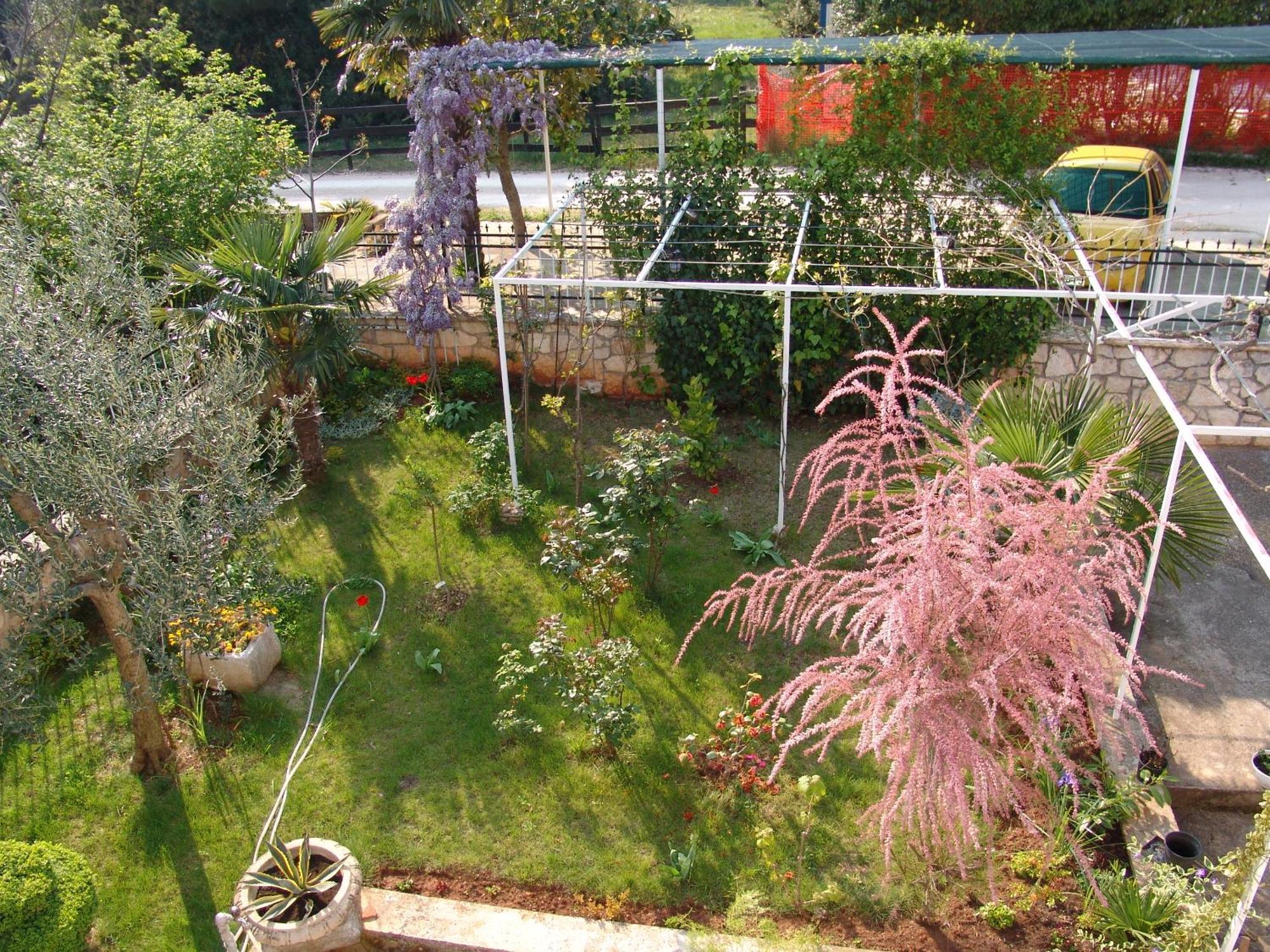 Villa Salvia Rooms And Apartments Rovinj Kültér fotó