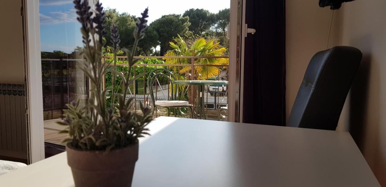 Villa Salvia Rooms And Apartments Rovinj Kültér fotó